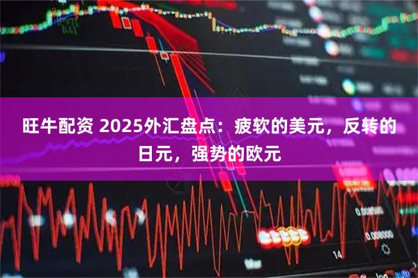 旺牛配资 2025外汇盘点:疲软的美元,反转的日元,强势的欧元