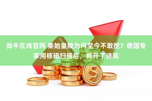 尚牛在线官网 秦始皇陵为何至今不敢挖？德国专家用核磁扫描后，揭开了谜底