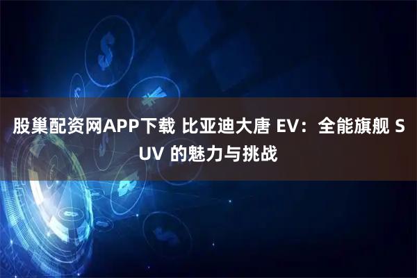 股巢配资网APP下载 比亚迪大唐 EV：全能旗舰 SUV 的魅力与挑战